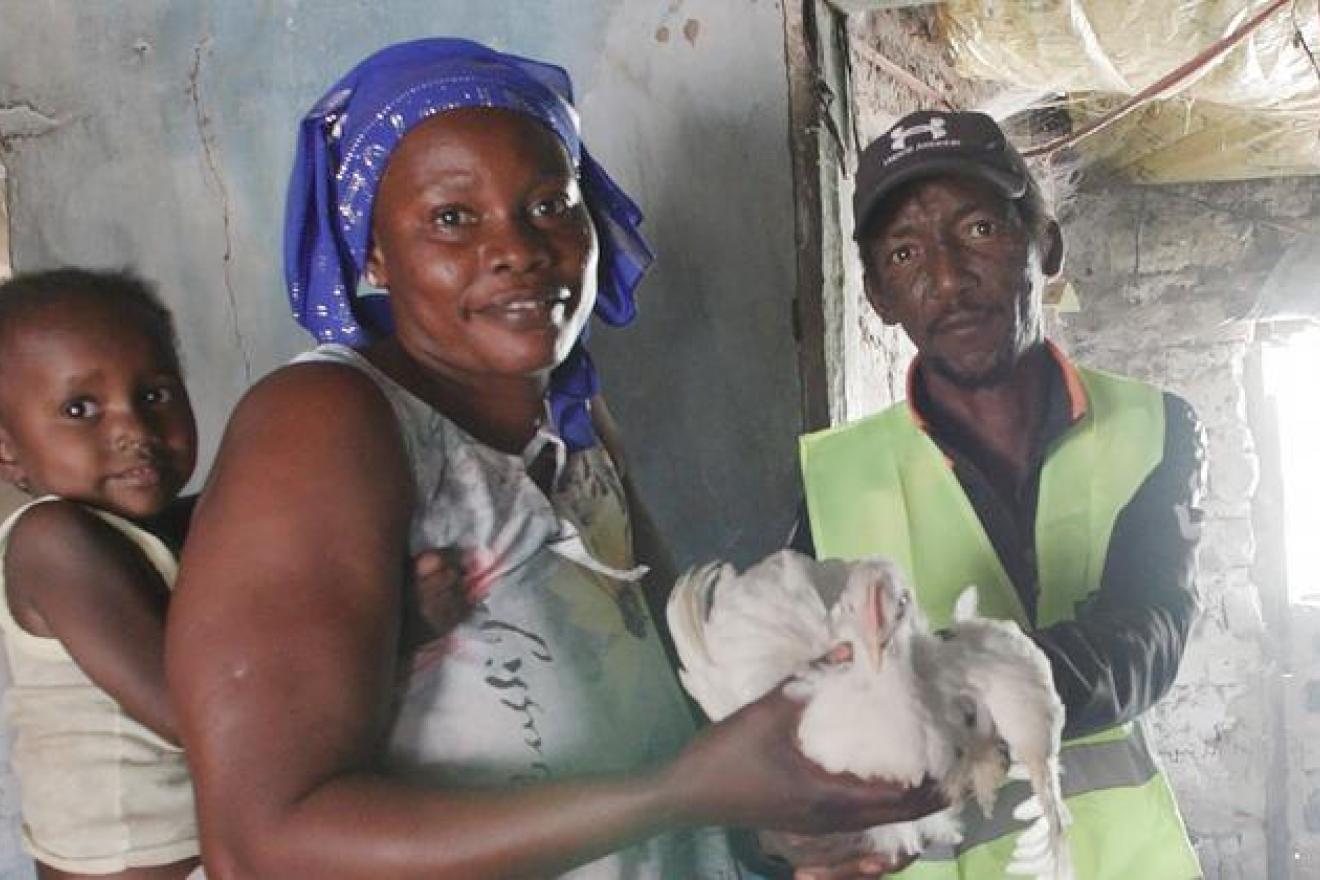 UN Video/ Hisae Kawamori A customer buys a chicken from Gidom Sabally's poultry farm in rural Gambia.
