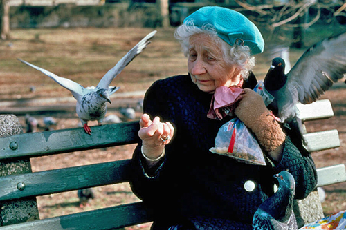 A woman on a bench in winter feeding pigeons. 